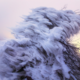 Recent Extreme Events and What Is on the Horizon