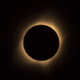 Eclipse 2024: Solar Science in Action