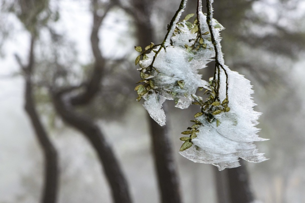 The Coldest Icy Days