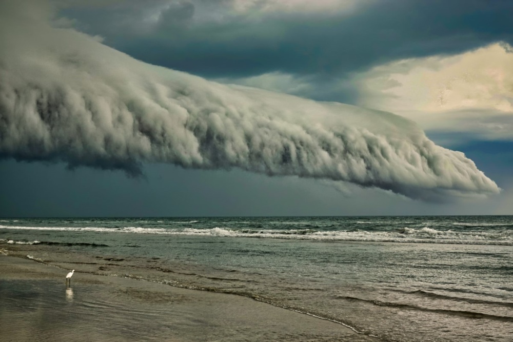 Stormfront