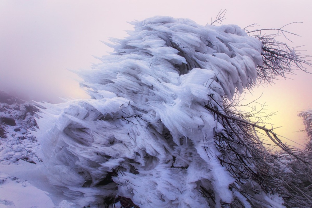 Ice Wind