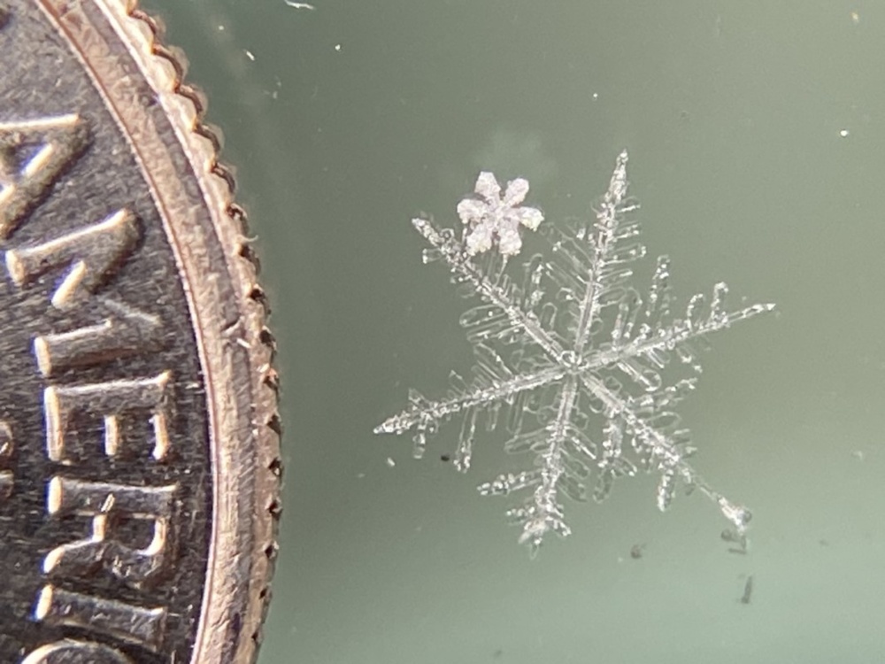 Colorado Flakes