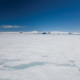 A (N)ice Bridge