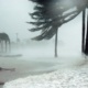 Hurricane Hazards: Know What You're Facing