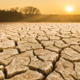 In Search of Drought