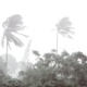 A Most Mighty Wind