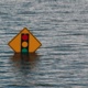 The Psychology of Disaster