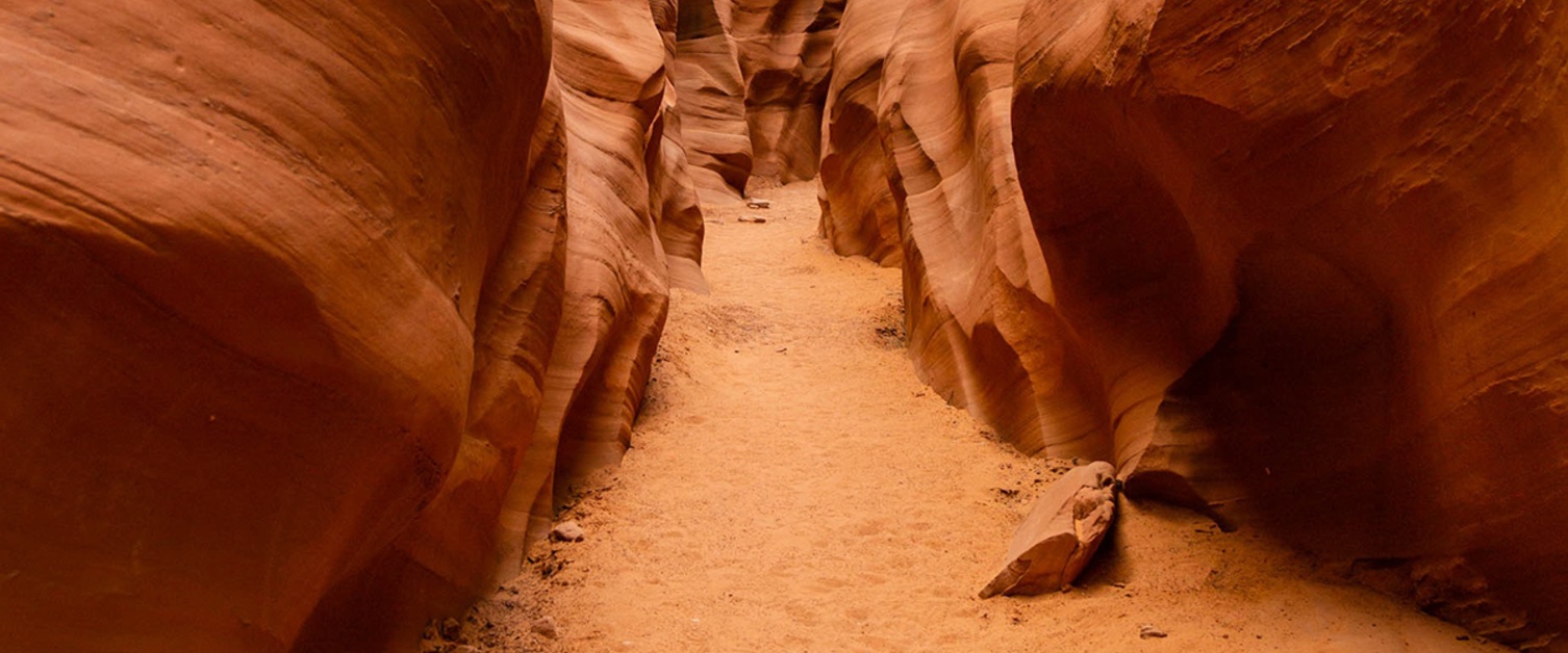 How to Monitor Drought and Build Community in the Desert Southwest