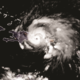 Hurricanes Turn Up the Heat