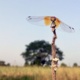Life Changing Forecasts: Helping to Manage Meningitis in the West African Sahel