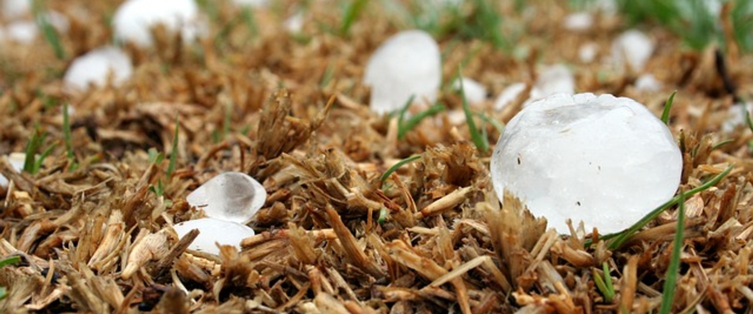 Moving Hail Forecasting Forward