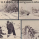 Superstorm 1950 with David Call