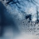 Wilder Weather: Data and Science in Laura Ingalls Wilder's Novel "The Long Winter"